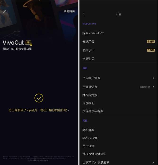 VivaCut 3.5.6 专业级剪辑软件插图