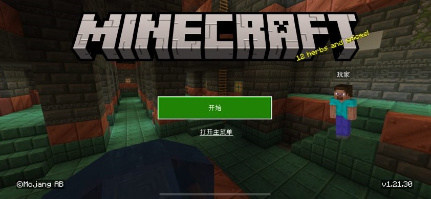 Minecraft_v1.21.40 我的世界砸壳插图1